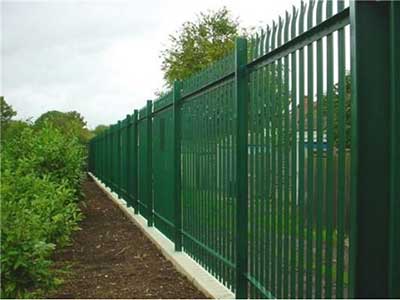 green palisade